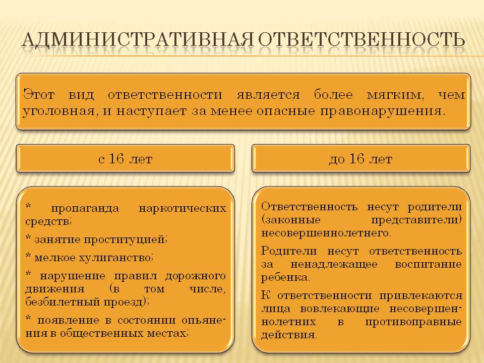 административная ответственность