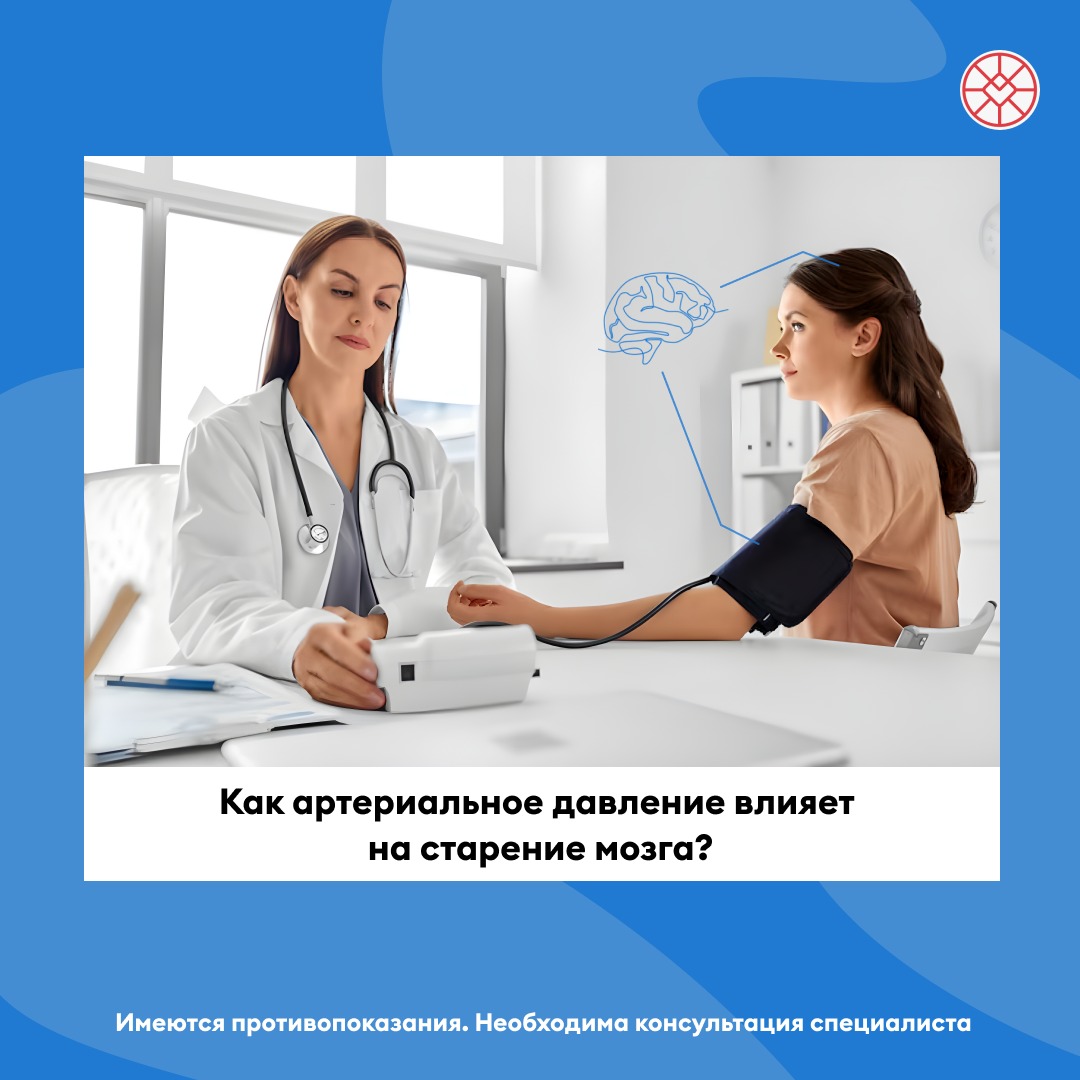 Как_артериальное_давление_влияет_на_старение_мозга.jpeg